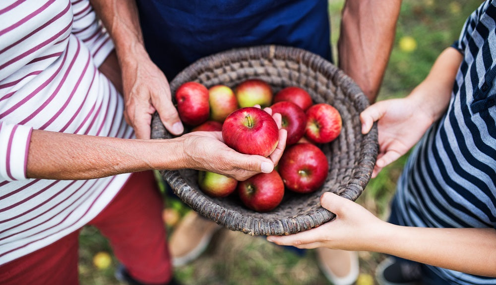 Image of 3 half-body people holding together a basket of apples.
