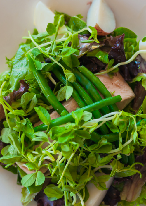 top view of smart pressed nicoise salad on a plate on top of a white table