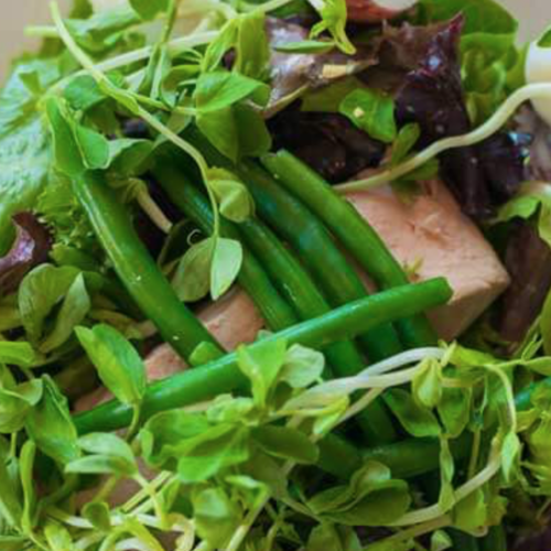 haricot verts surrounded by green leafy vegetables.